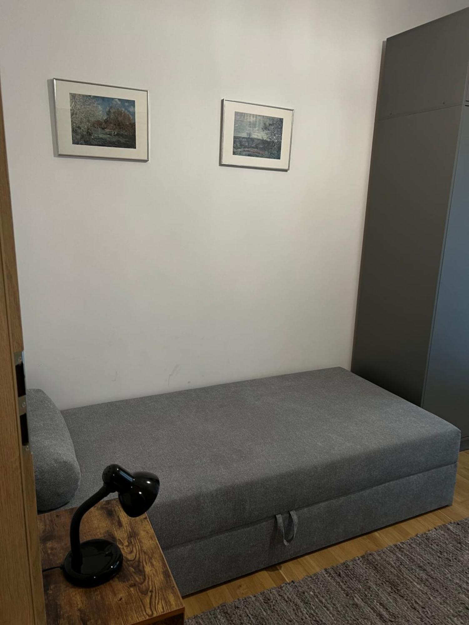 Apartament Z Tarasem 40 M2 بياليستوك المظهر الخارجي الصورة